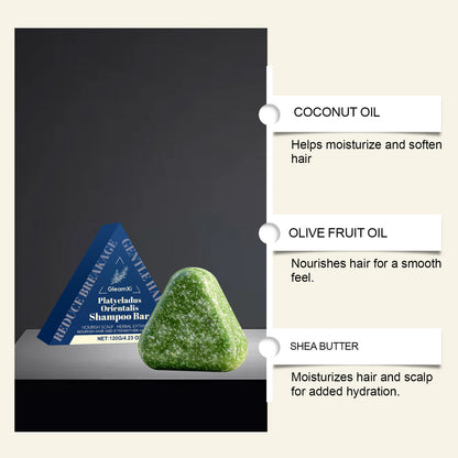 Champú Platycladus Orientalis – Cuidado capilar fortalecedor y nutritivo (120 g)