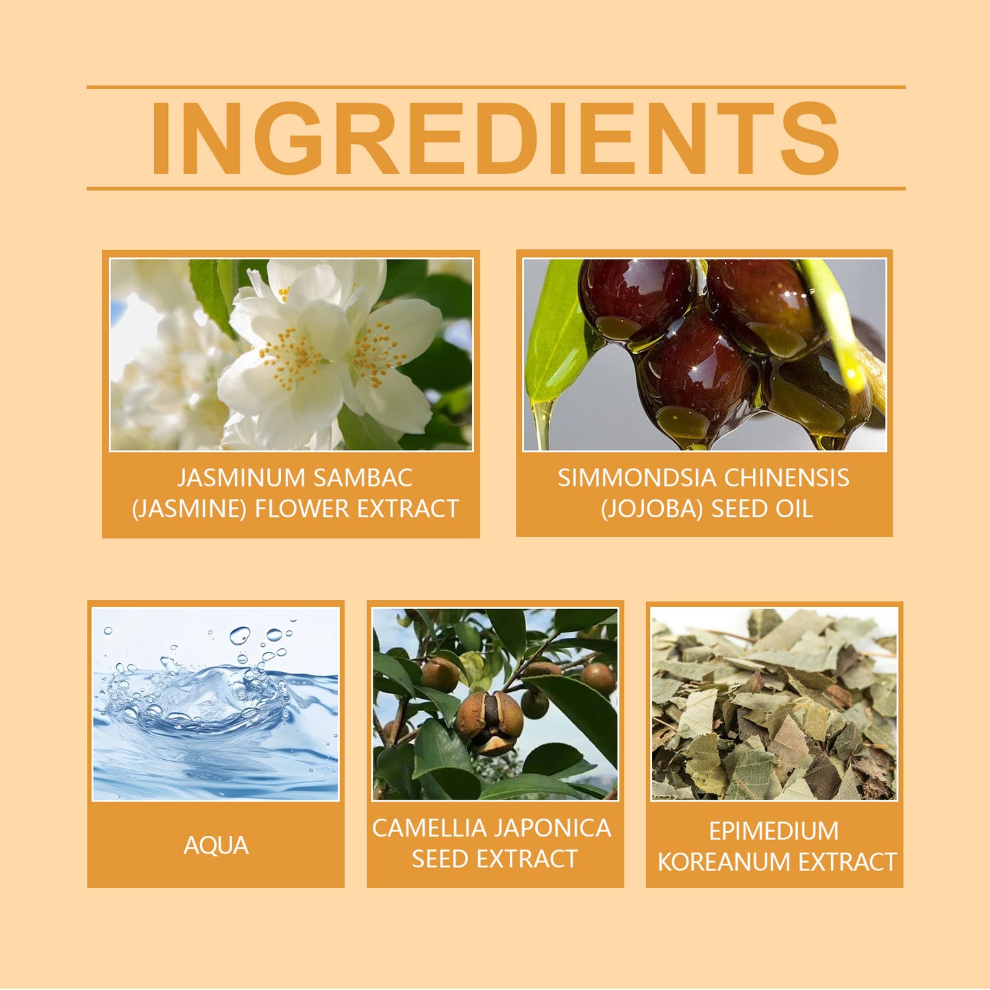 North Moon Men’s Massage Oil – Lightweight Hydrating Body Care Oil for Daily Use (10ml)