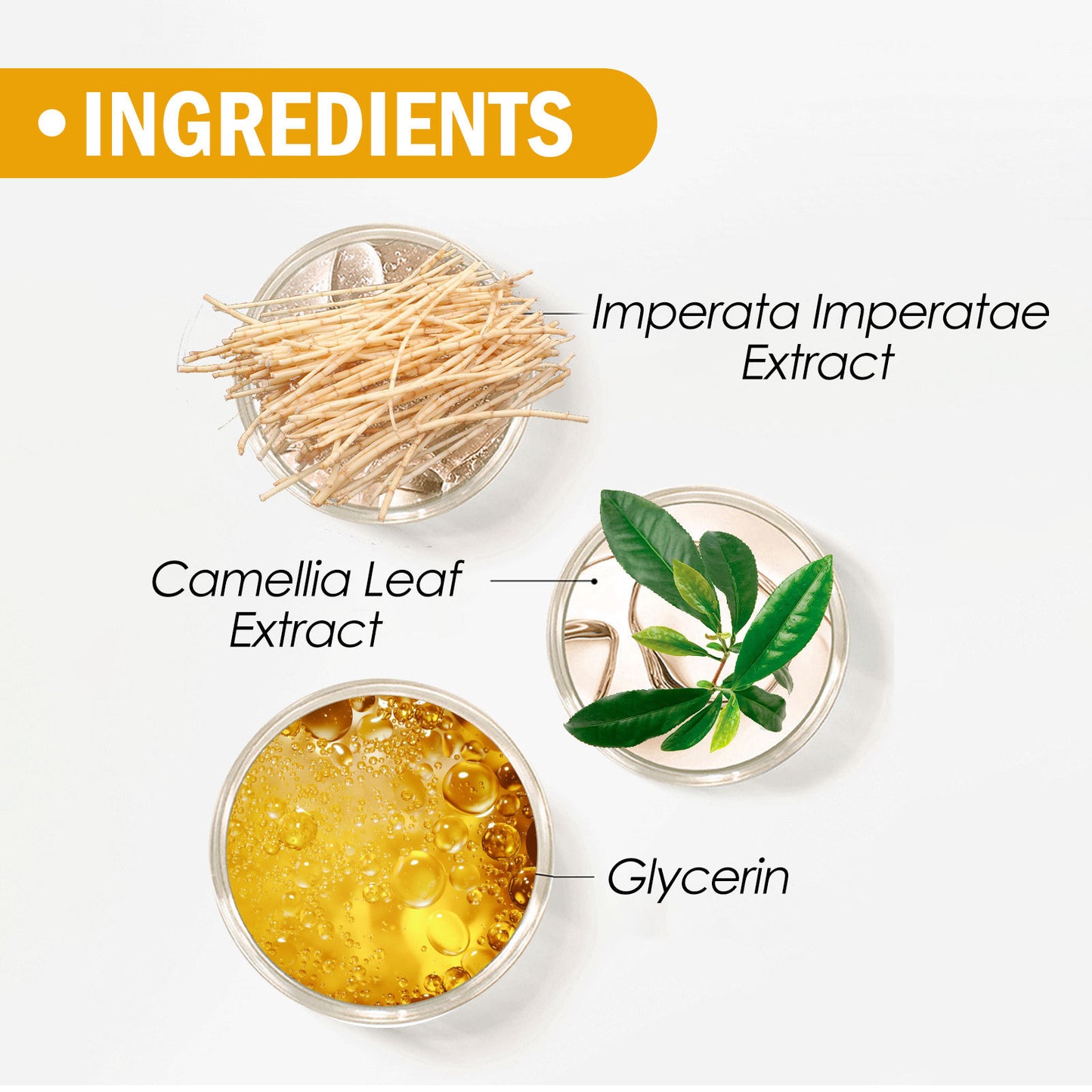 Pinceau Poudre Coiffante Solaire EELHOE SPF50 PA++ – Poudre Fixatrice Matifiante Contrôle du Sébum