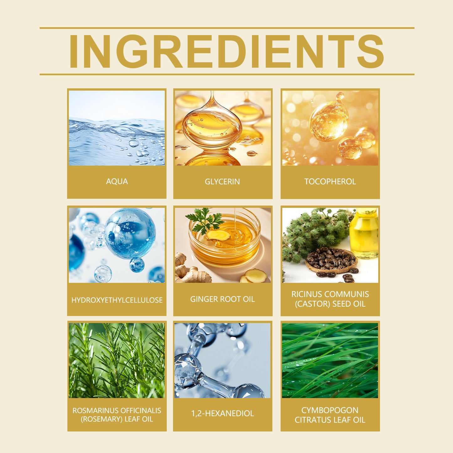 Hoegoa Scalp Nourishing Oil – Lightweight Scalp & Hair Care 30ml