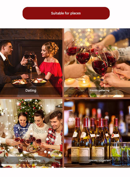 Electric Wine Aerator & Pourer – USB Rechargeable Automatic Wine Decanter