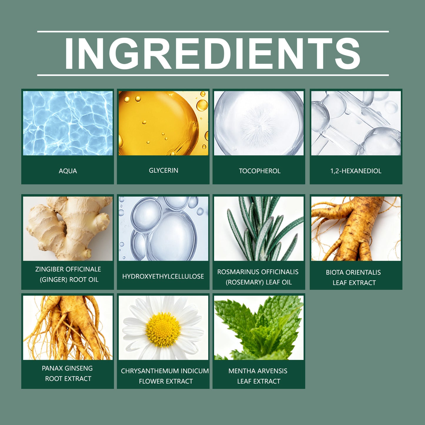 Suero capilar Hoegoa Scalp Care: nutrición herbal y revitalización del cuero cabelludo (20 g)